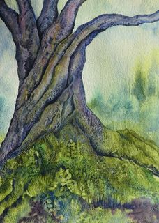That Old Tree