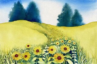 Sunflowers