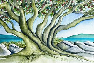 Pohutukawa by the Sea