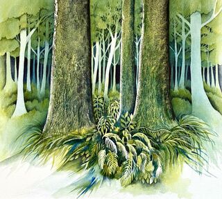 Forest Magic