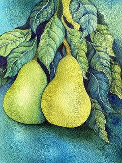 Pears