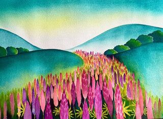 Lupins on Parade