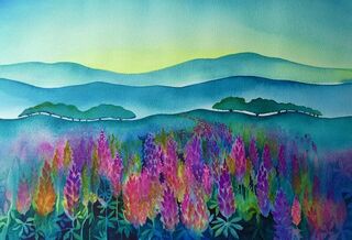 Lupins Galore