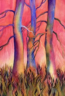 Through Rose Tinted Glasses