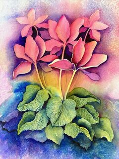 A Pot of Colour