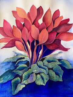 A Pot of Colour