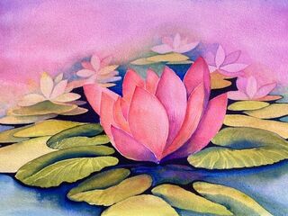 Water Lily