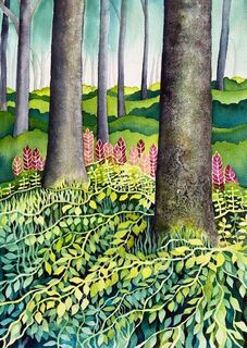 The Understory