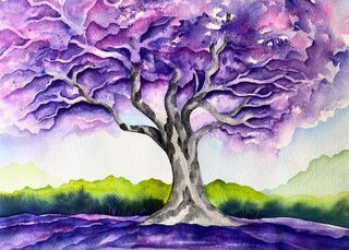 Jacaranda