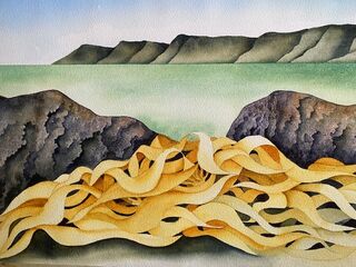 Shoreline Kelp