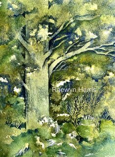 Tane Mahuta - God of the Forest